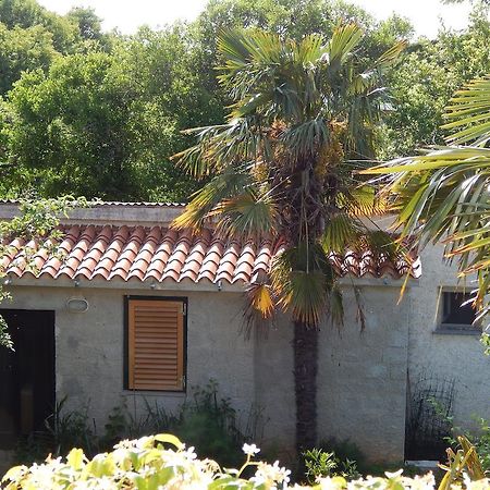 Apartment Tomato Pula Rum bild