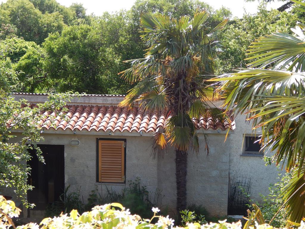 Apartment Tomato Pula Rum bild